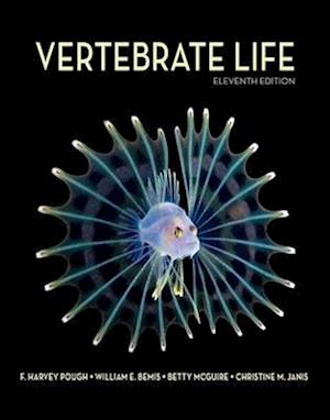 Vertebrate Life