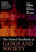 The Oxford Handbook of Gangs and Society