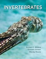 Invertebrates