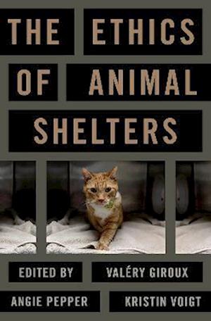 The Ethics of Animal Shelters