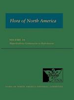 Flora of North America: Volume 14, Magnoliophyta: Gentianaceae to Hydroleaceae