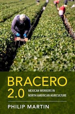 Bracero 2.0