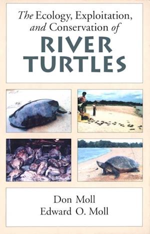 Ecology, Exploitation and Conservation of River Turtles