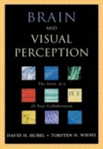 Brain and Visual Perception