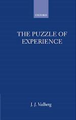 The Puzzle of Experience