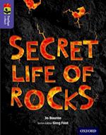 Oxford Reading Tree TreeTops inFact: Level 11: Secret Life of Rocks