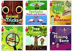 Oxford Reading Tree inFact: Oxford Level 4: Class Pack of 36