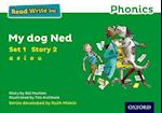 Read Write Inc. Phonics: Green Set 1 Storybook 2 My Dog Ned
