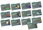 Read Write Inc. Phonics: Grey Set 7 Core Storybooks (Mixed Pack of 13)