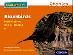 Read Write Inc. Phonics: Orange Set 4 Non-fiction 4 Blackbirds