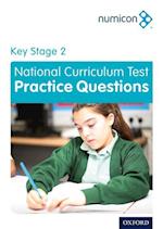 Numicon: Key Stage 2 National Curriculum Test Practice Questions