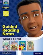 Project X Origins: Purple Book Band, Oxford Level 8: What a Stink!: Guided reading notes