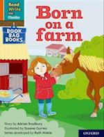 Read Write Inc. Phonics: Orange Set 4 Book Bag Book 8 Born on a farm