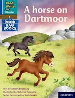 Read Write Inc. Phonics: Blue Set 6 Book Bag Book 2 A horse on Dartmoor