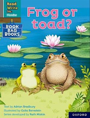 Read Write Inc. Phonics: Grey Set 7 Book Bag Book 7 Frog or toad?