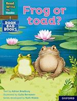 Read Write Inc. Phonics: Grey Set 7 Book Bag Book 7 Frog or toad?