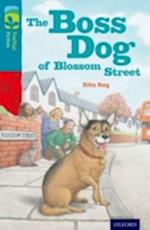 Oxford Reading Tree TreeTops Fiction: Level 9 More Pack A: The Boss Dog of Blossom Street