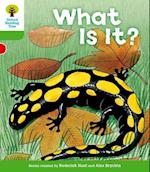 Oxford Reading Tree: Level 2: More Patterned Stories A: What Is It?