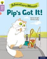 Oxford Reading Tree Word Sparks: Level 1+: Pip's Got It!