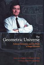 The Geometric Universe
