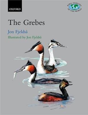 The Grebes