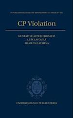 CP Violation