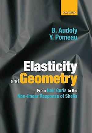 Elasticity and Geometry