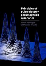 Principles of Pulse Electron Paramagnetic Resonance