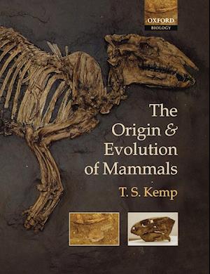 The Origin and Evolution of Mammals