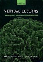 Virtual Lesions