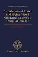Disturbances of Lower and Higher Visual Capacities Caused by Occipital Damage