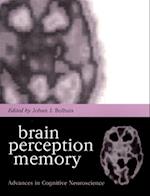 Brain, Perception, Memory