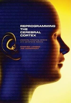 Reprogramming the Cerebral Cortex