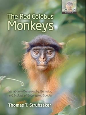 The Red Colobus Monkeys