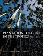 Plantation Forestry in the Tropics