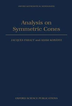 Analysis on Symmetric Cones