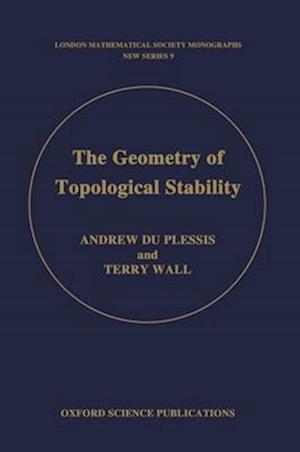 The Geometry of Topological Stability