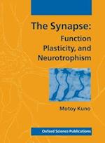 The Synapse