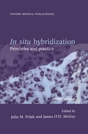 In Situ Hybridization