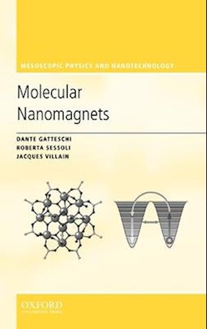 Molecular Nanomagnets