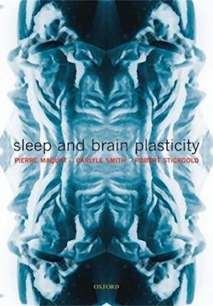 Sleep and Brain Plasticity