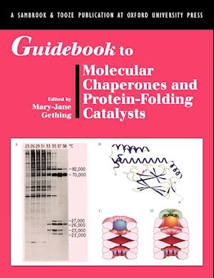 Guidebook to Molecular Chaperones and Protein-Folding Catalysts