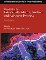 Guidebook to the Extracellular Matrix, Anchor and Adhesion Proteins