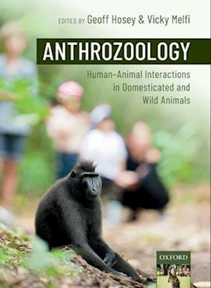 Anthrozoology