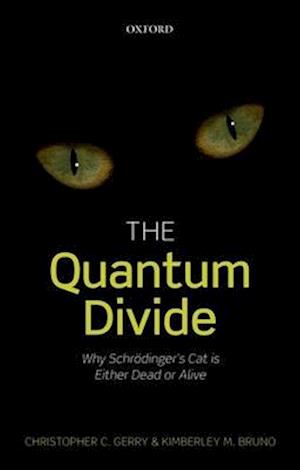 The Quantum Divide