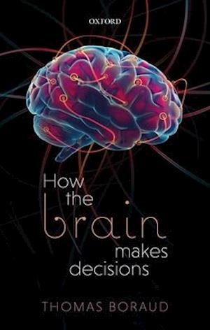 How the Brain Makes Decisions