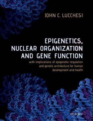 Epigenetics, Nuclear Organization & Gene Function