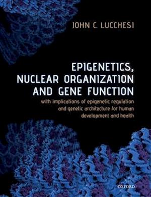 Epigenetics, Nuclear Organization & Gene Function