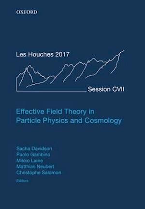 Effective Field Theory in Particle Physics and Cosmology