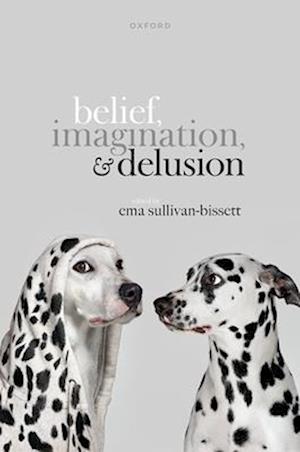 Belief, Imagination, and Delusion